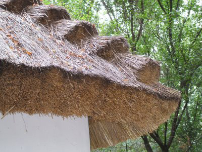 cane roof in Ukraine - nature friendly, inexpencive, eye-pleasing long-term ecko-roof