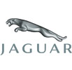 jaguar1_ava